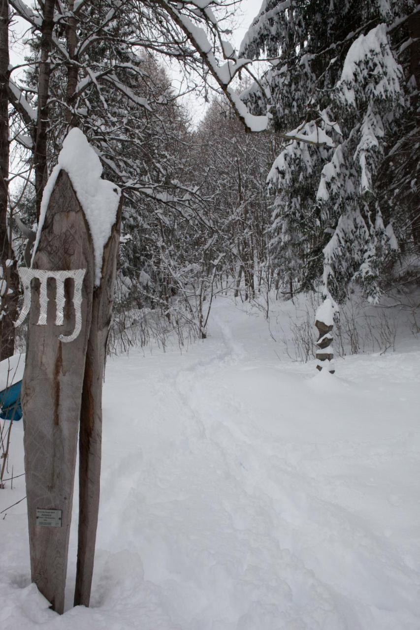 Etoile Des Neiges Hotel Oulx Kültér fotó